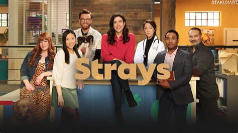 strays season 2.